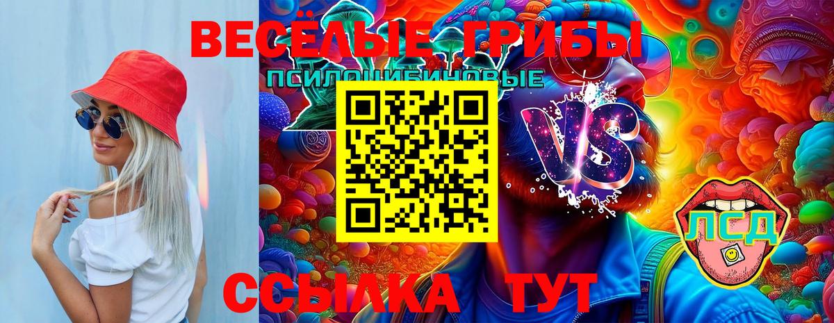 Курчатов  Псилоцибиновые грибы мицелий  Галлюциногенные грибы мухоморы  Вход с VPN 